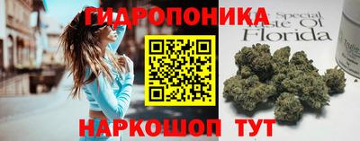 прущие крисы Ачхой-Мартан