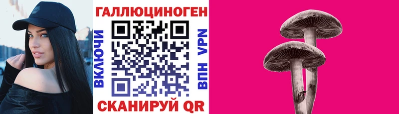 Галлюциногенные грибы Psilocybe  маркетплейс телеграм  Вичуга 