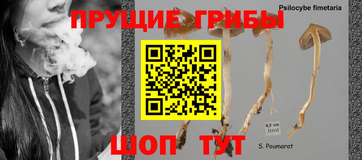 Псилоцибиновые грибы ЛСД  Галлюциногенные грибы Psilocybine cubensis  купить  сайты  Вход с VPN  Вичуга 