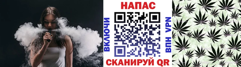 Канабис план Вичуга