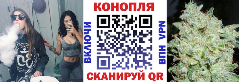 нарко площадка как зайти  Вичуга  Шишки марихуана конопля 